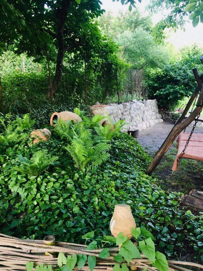 Dreamland Lagodekhi & Wine Cellar Екстериор снимка