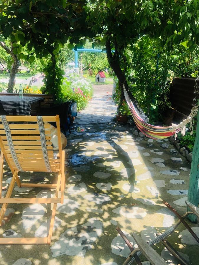 Dreamland Lagodekhi & Wine Cellar Екстериор снимка