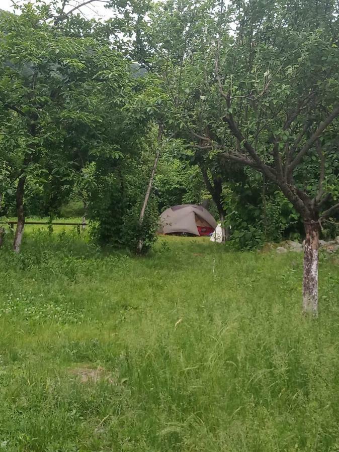 Dreamland Lagodekhi & Wine Cellar Екстериор снимка